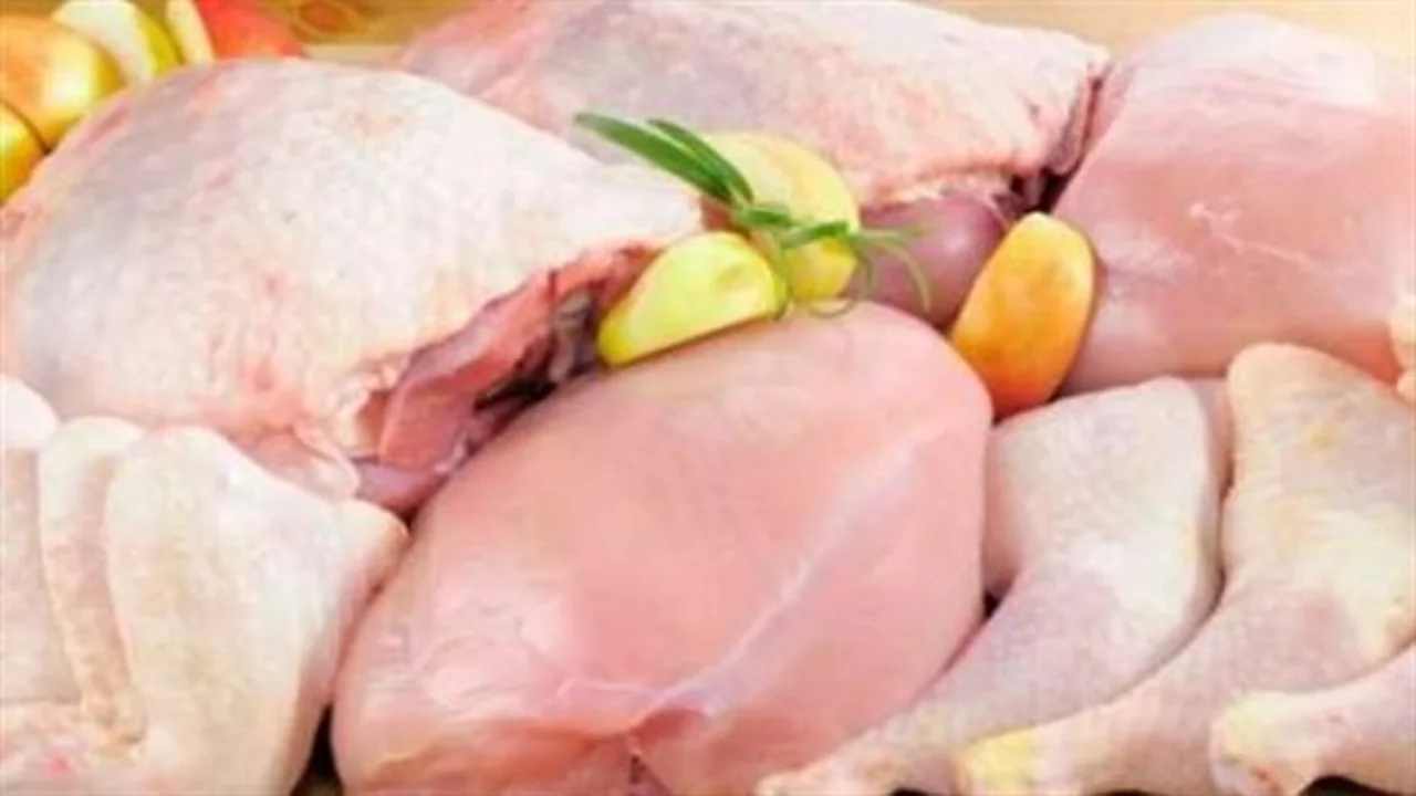 انخفاض مفاجئ.. أسعار الدواجن اليوم وأحدث تقلبات سعر الكيلو بالأسواق المصرية